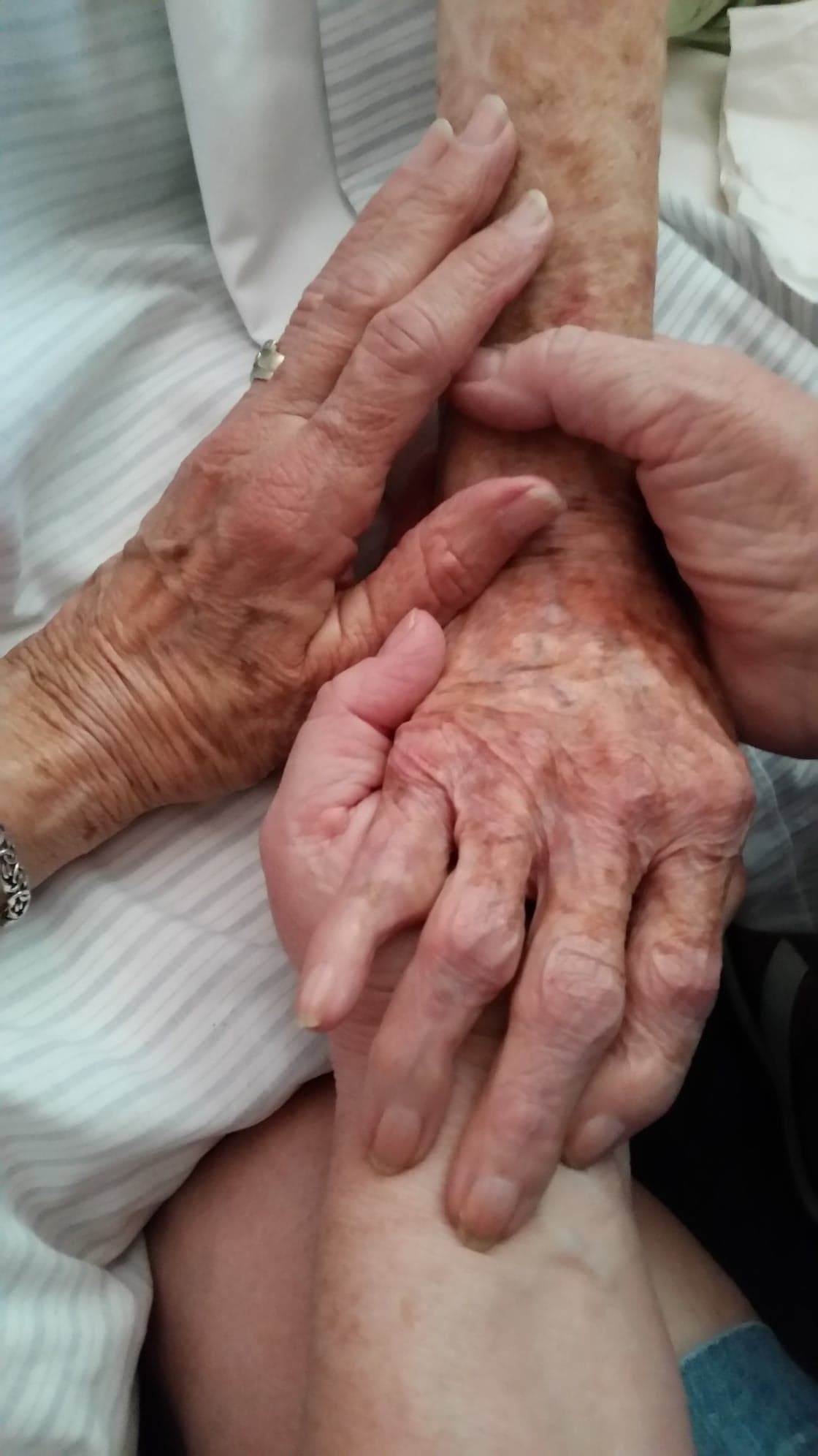 43672923_560139704412003_7099662553256558592_n